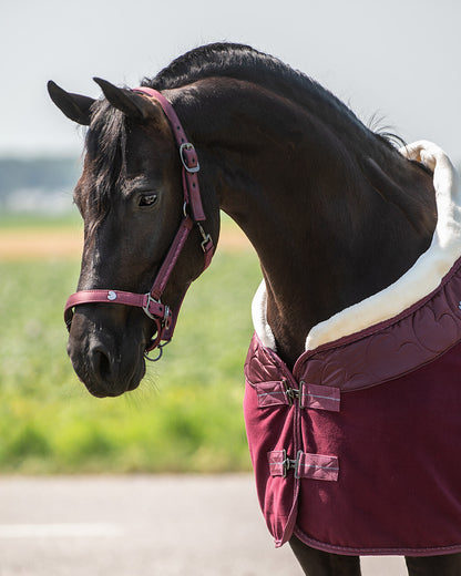Cabezada de cuadra Head collar set Lily QHP para equitación - vista 20
