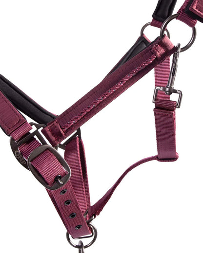 Cabezada de cuadra Head collar set Lily QHP para equitación - vista 2