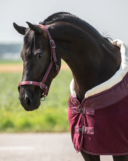 Cabezada de cuadra Head collar set Lily QHP para equitación - vista 6