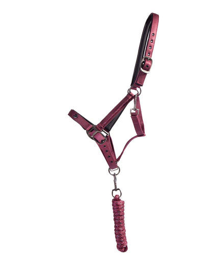 Cabezada de cuadra Head collar set Lily QHP para equitación - vista 7