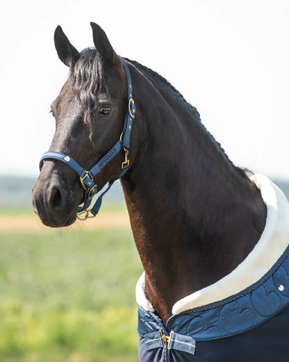 Cabezada de cuadra Head collar set Lily QHP para equitación - vista 14