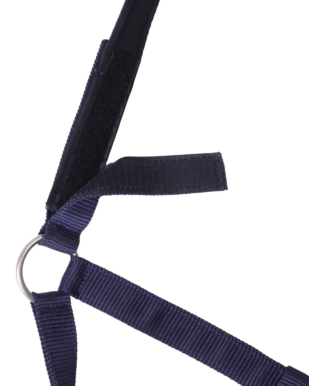 Cabezada de cuadra Safety halter Forrado QHP para equitación - vista 2