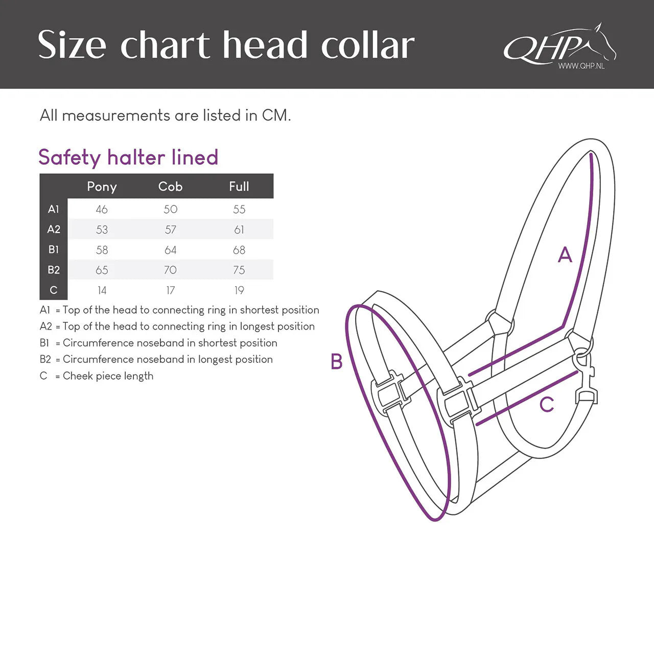 Cabezada de cuadra Safety halter Forrado QHP para equitación - vista 14