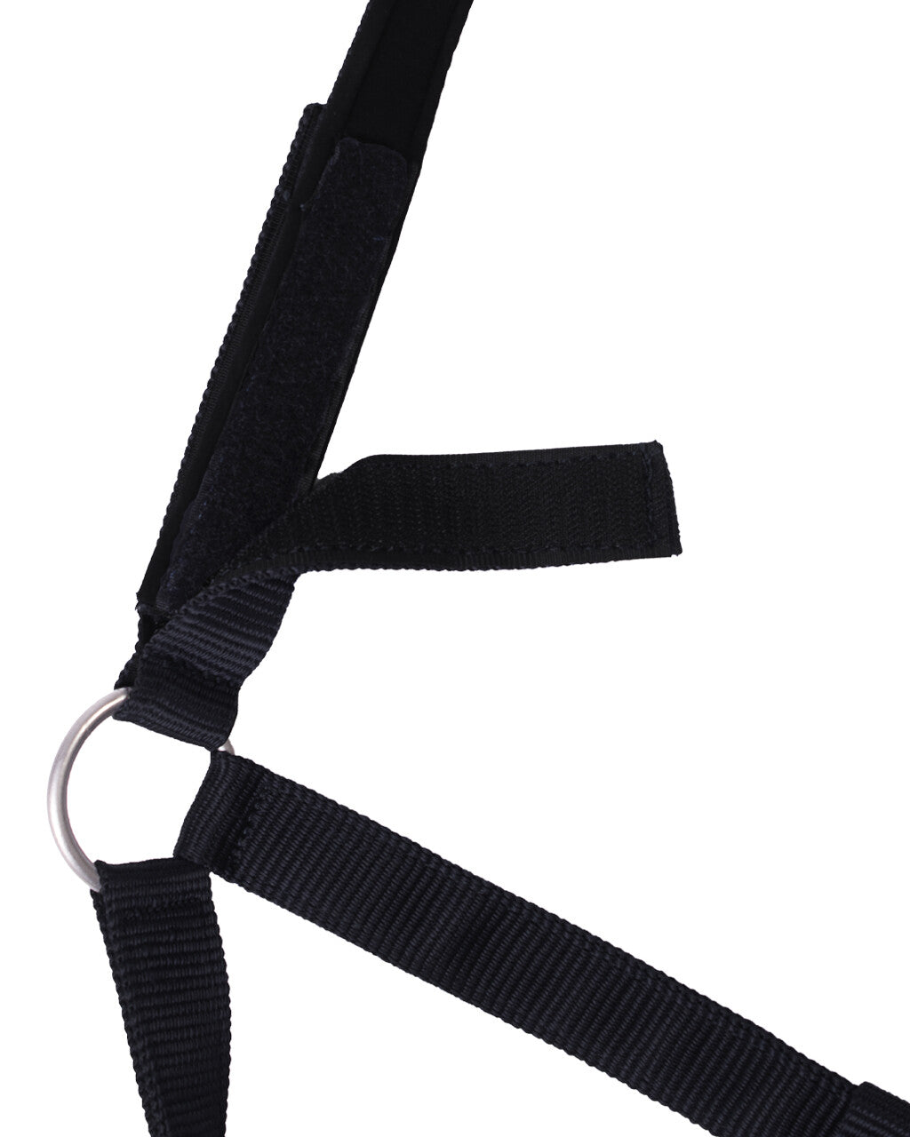 Cabezada de cuadra Safety halter Forrado QHP para equitación - vista 17