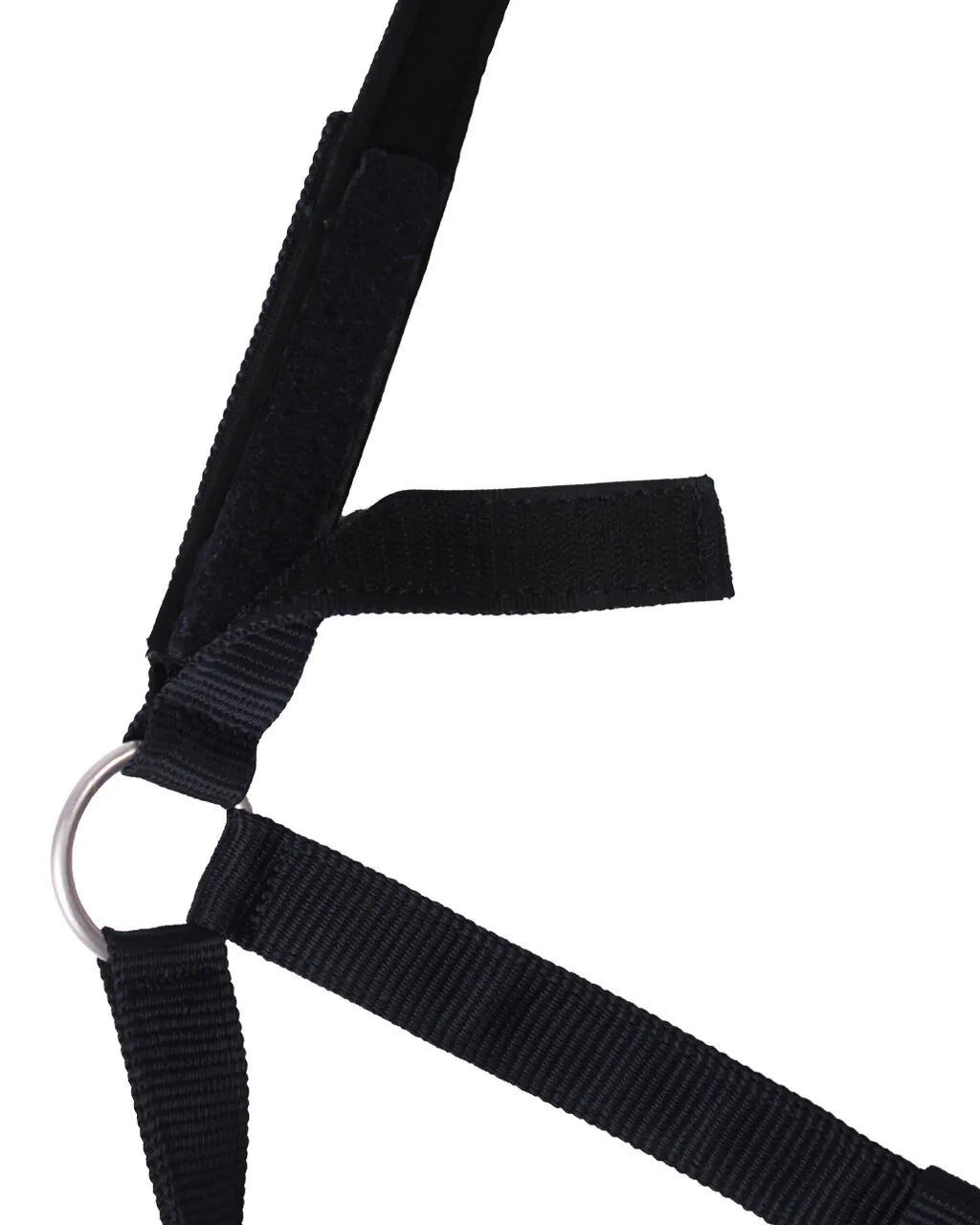 Cabezada de cuadra Safety halter Forrado QHP para equitación - vista 18