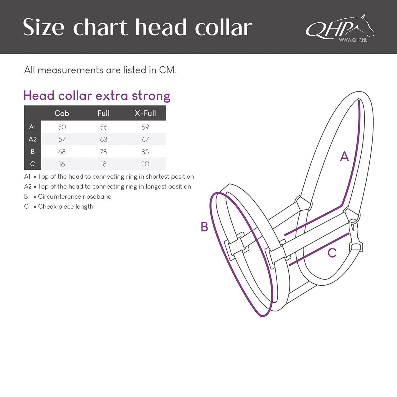 Cabezada de cuadra Head collar extra strong QHP para equitación - vista 5