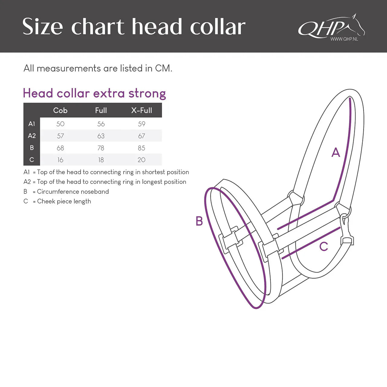 Cabezada de cuadra Head collar extra strong QHP para equitación - vista 6