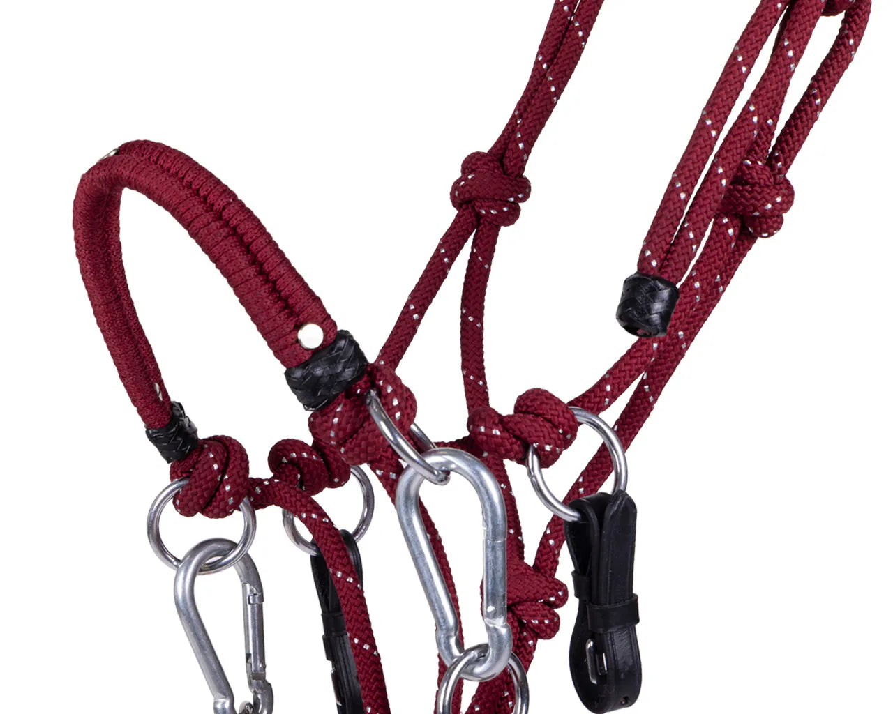 Cabezada de cuadra Rope halterset Polivalente QHP para equitación - vista 6