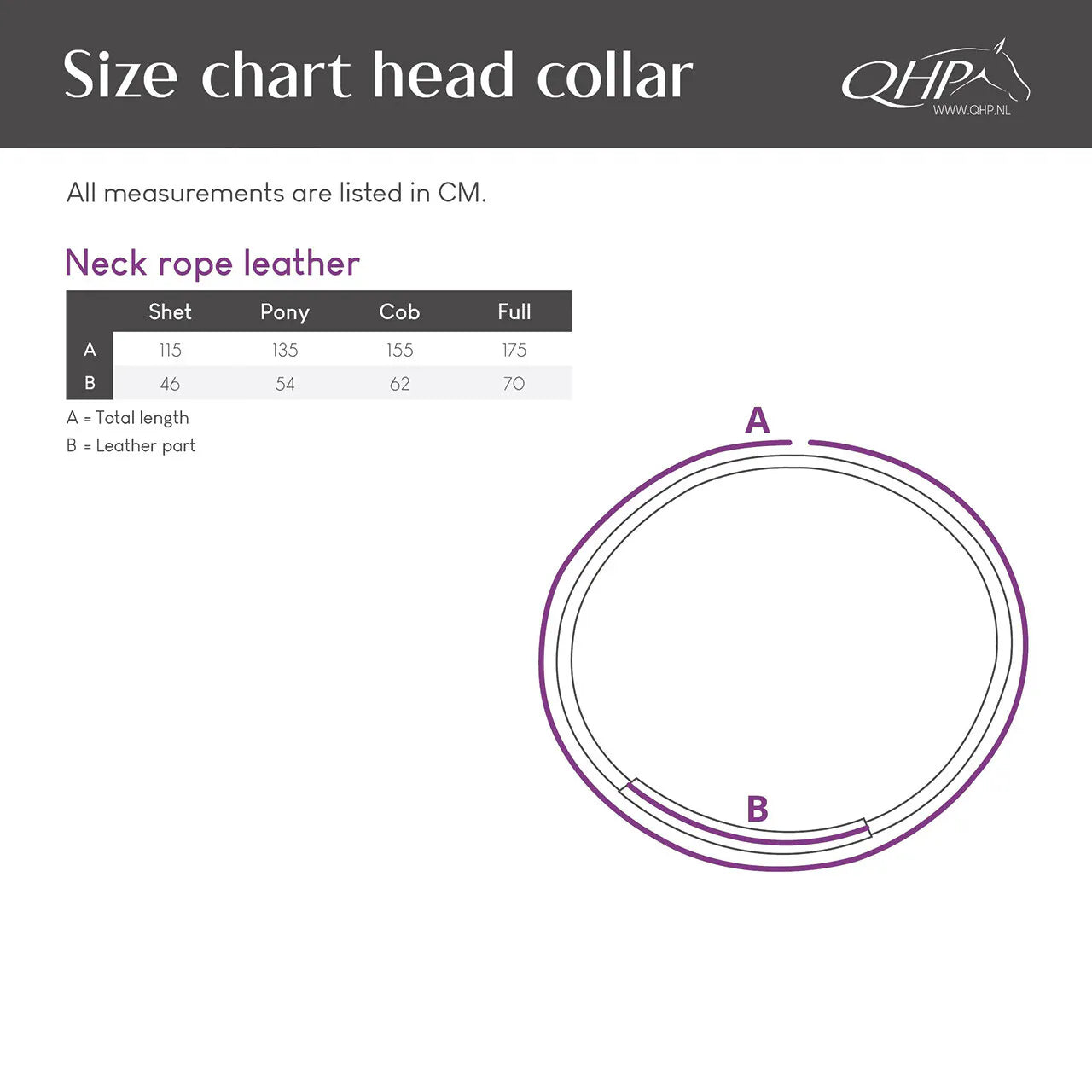 Ramales y cuerdas cordón cervical cuero QHP para equitación - vista 10