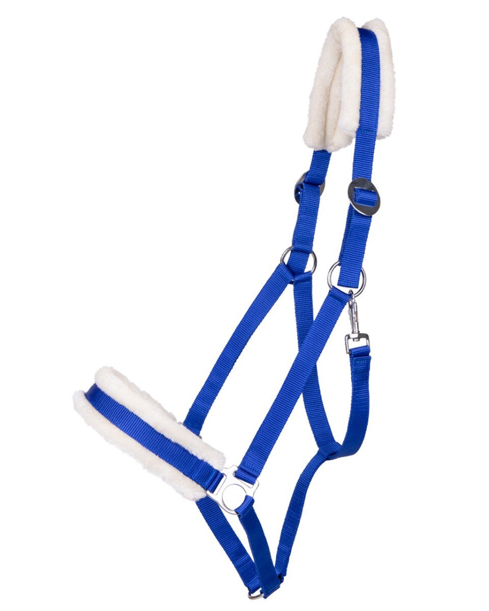 Cabezada de cuadra Head collar Cali draft caballo QHP para equitación - vista 11