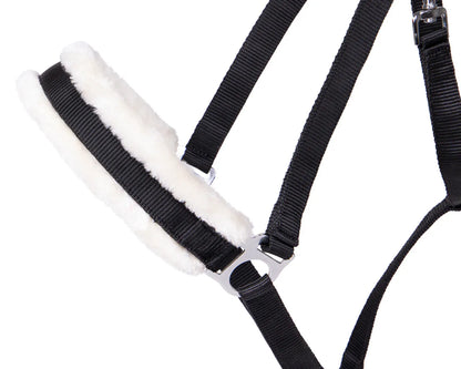 Cabezada de cuadra Head collar Cali draft horse QHP para equitación - vista 4
