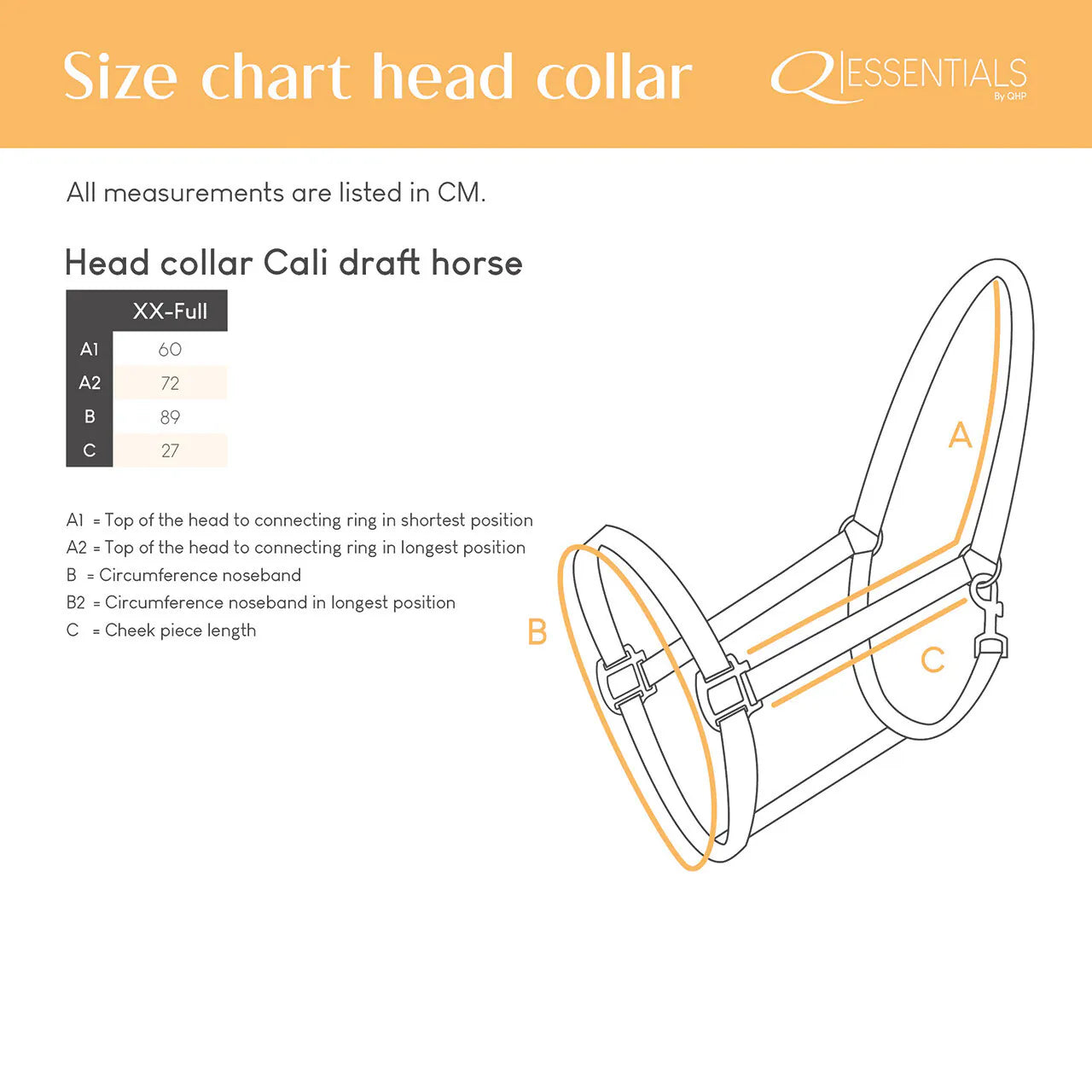 Cabezada de cuadra Head collar Cali draft caballo QHP para equitación - vista 8