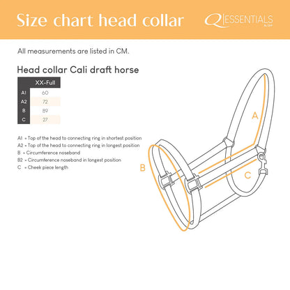 Cabezada de cuadra Head collar Cali draft caballo QHP para equitación - vista 8