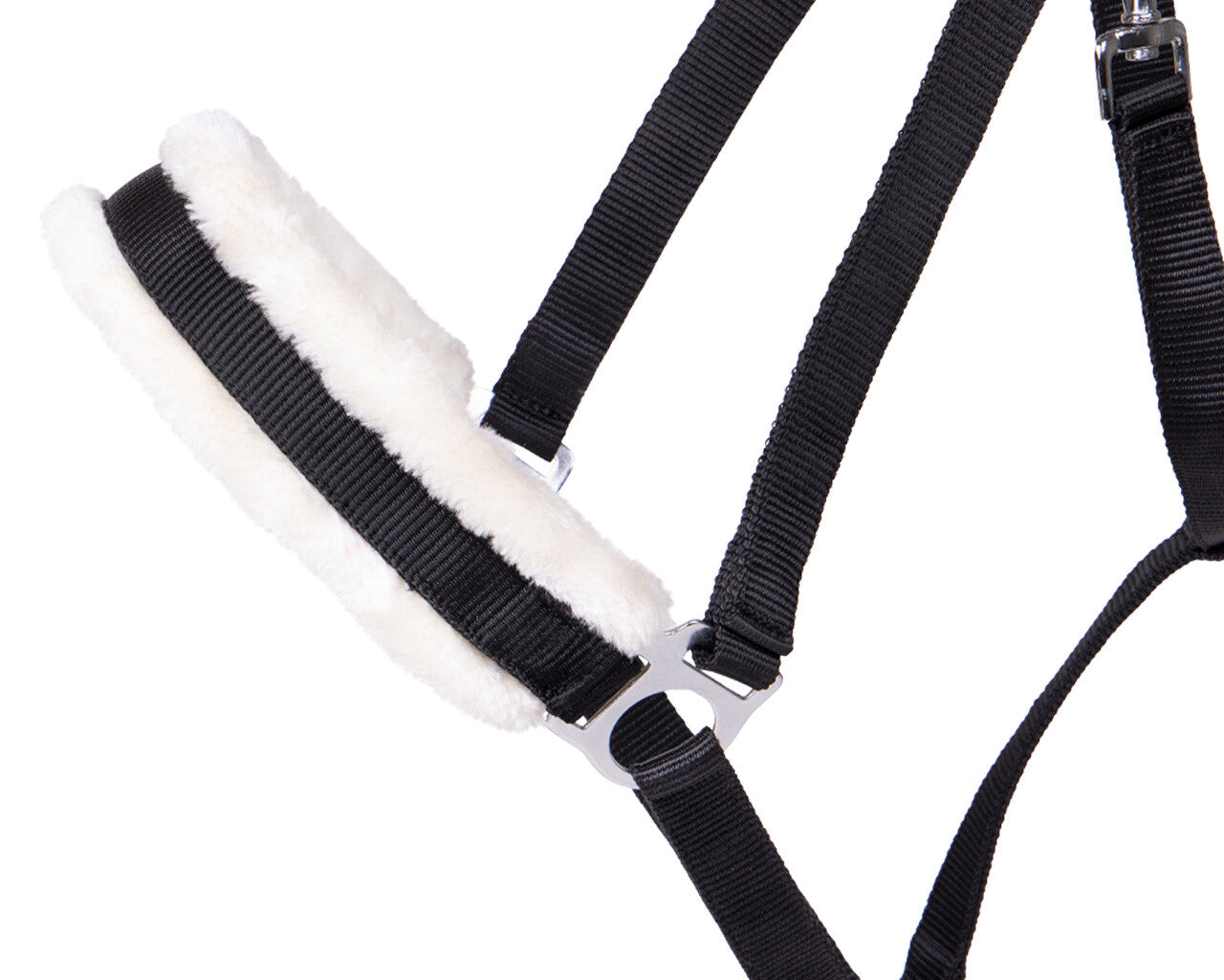 Cabezada de cuadra Head collar Cali draft caballo QHP para equitación - vista 16