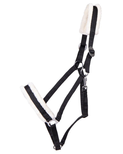 Cabezada de cuadra Head collar Cali draft horse QHP para equitación - vista 10