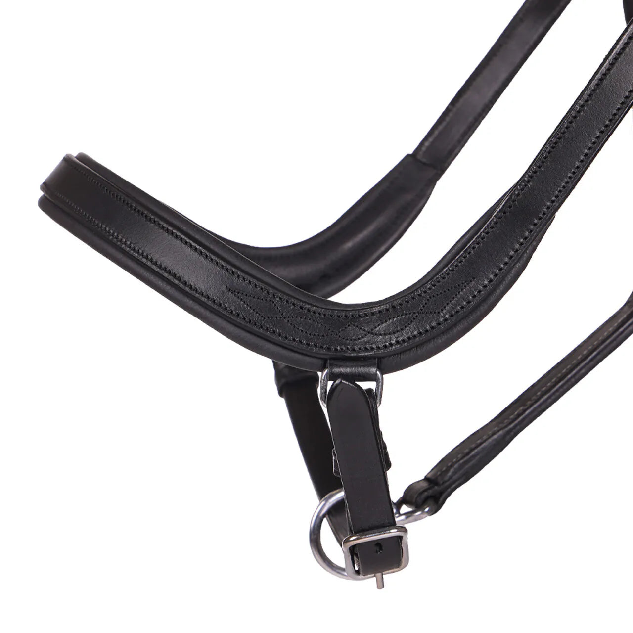 Cabezada de cuadra Head collar Salerno anatomic QHP para equitación - vista 2