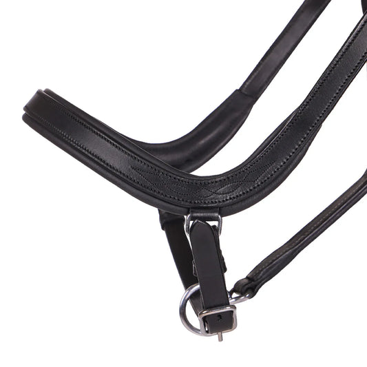 Cabezada de cuadra Head collar Salerno anatomic QHP para equitación - vista 2