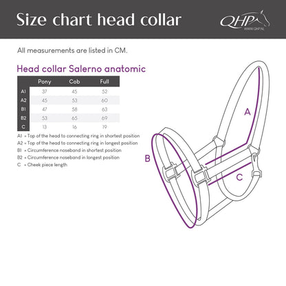 Cabezada de cuadra Head collar Salerno anatomic QHP para equitación - vista 7