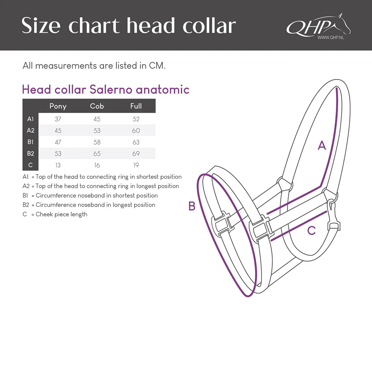 Cabezada de cuadra Head collar Salerno anatomic QHP para equitación - vista 8