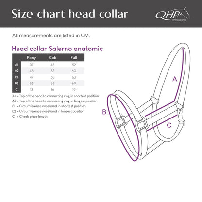 Cabezada de cuadra Head collar Salerno anatomic QHP para equitación - vista 8