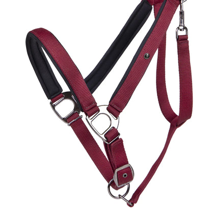 Cabezada de cuadra Head collar Deluxe draft caballo QHP para equitación - vista 2