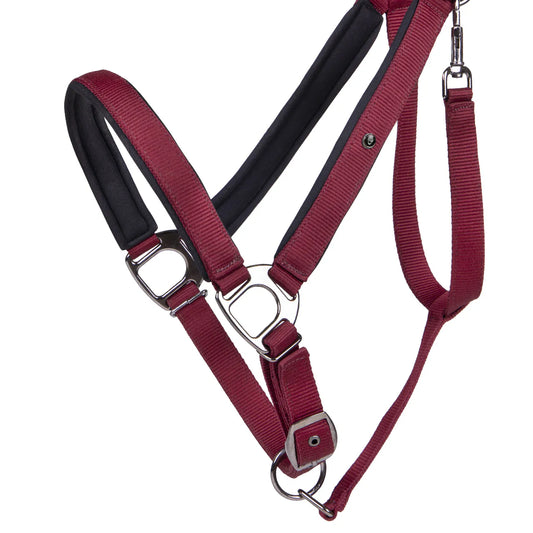 Cabezada de cuadra Head collar Deluxe draft caballo QHP para equitación - vista 2