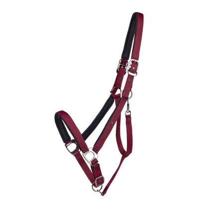 Cabezada de cuadra Head collar Deluxe draft caballo QHP para equitación - vista 7