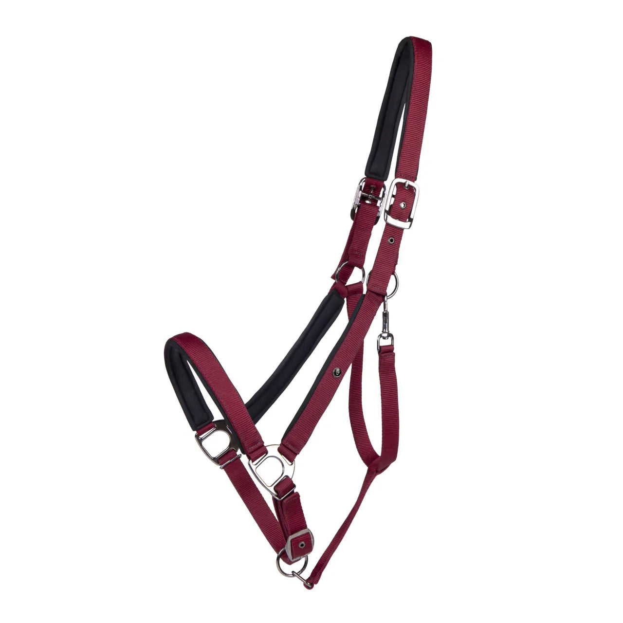 Cabezada de cuadra Head collar Deluxe draft caballo QHP para equitación - vista 8