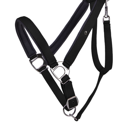 Cabezada de cuadra Head collar Deluxe draft caballo QHP para equitación - vista 9