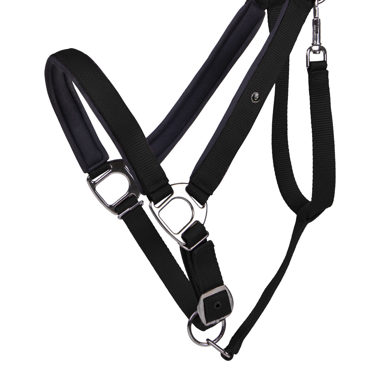 Cabezada de cuadra Head collar Deluxe draft horse QHP para equitación - vista 9