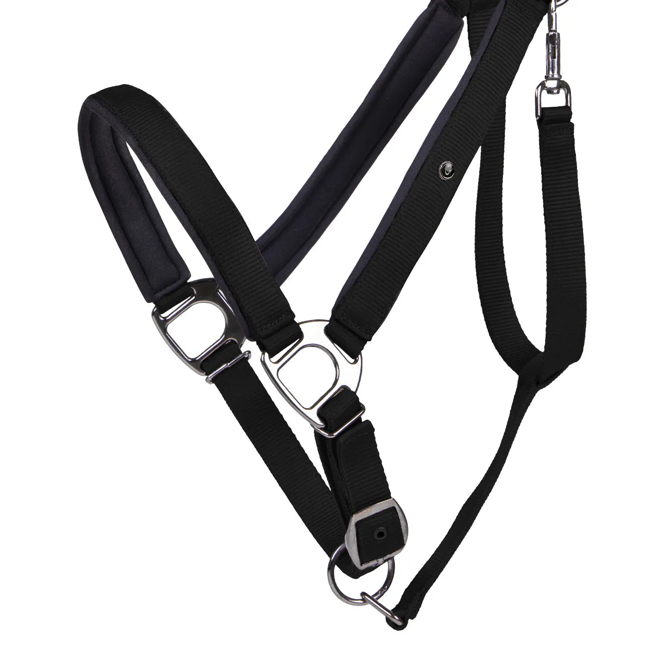 Cabezada de cuadra Head collar Deluxe draft horse QHP para equitación - vista 10