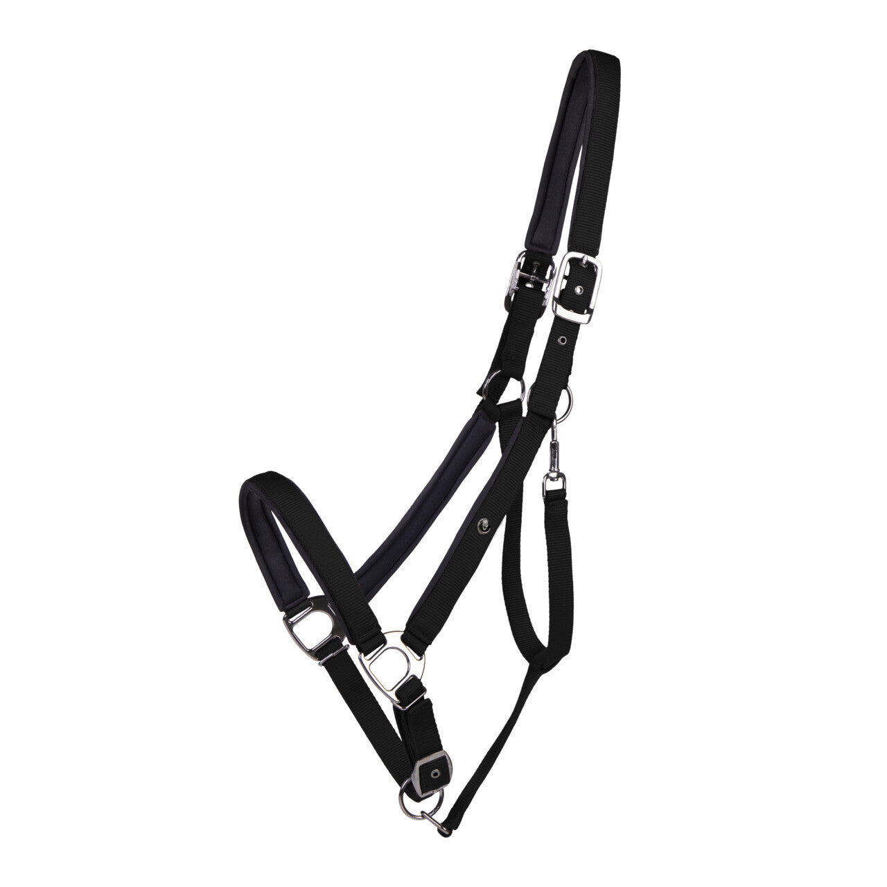Cabezada de cuadra Head collar Deluxe draft caballo QHP para equitación - vista 13