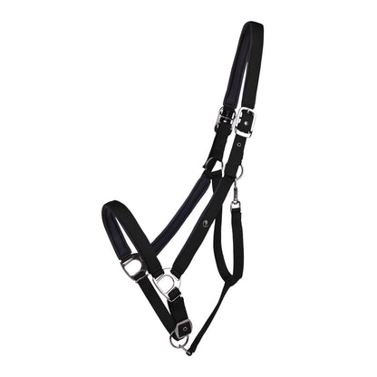 Cabezada de cuadra Head collar Deluxe draft caballo QHP para equitación - vista 13