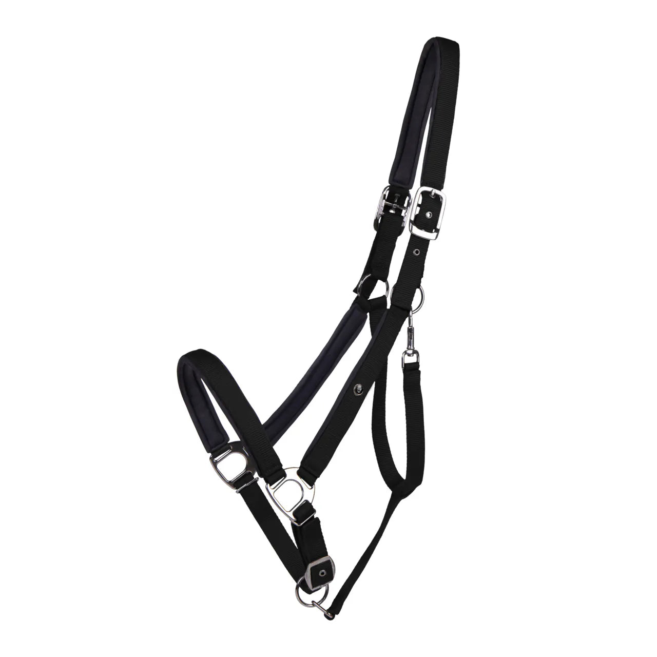 Cabezada de cuadra Head collar Deluxe draft caballo QHP para equitación - vista 14