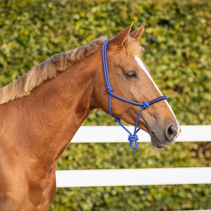 Cabezada de cuadra Rope halter con clip QHP para equitación - vista 4
