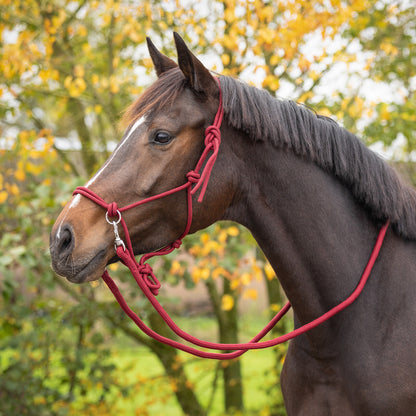Cabezada de cuadra Rope halter color con rein QHP para equitación - vista 29