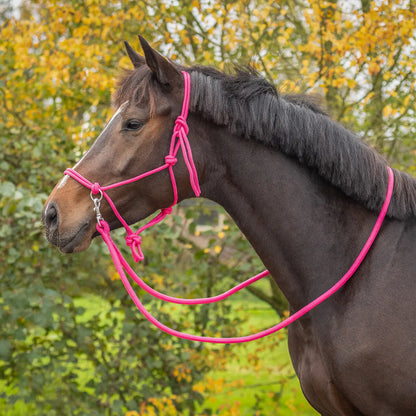 Cabezada de cuadra Rope halter color con rein QHP para equitación - vista 12