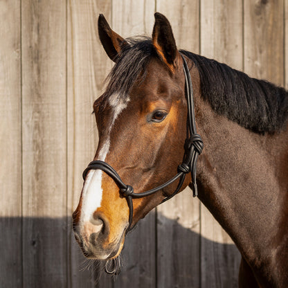 Cabezada de cuadra Rope halter cuero Liberta QHP para equitación - vista 17