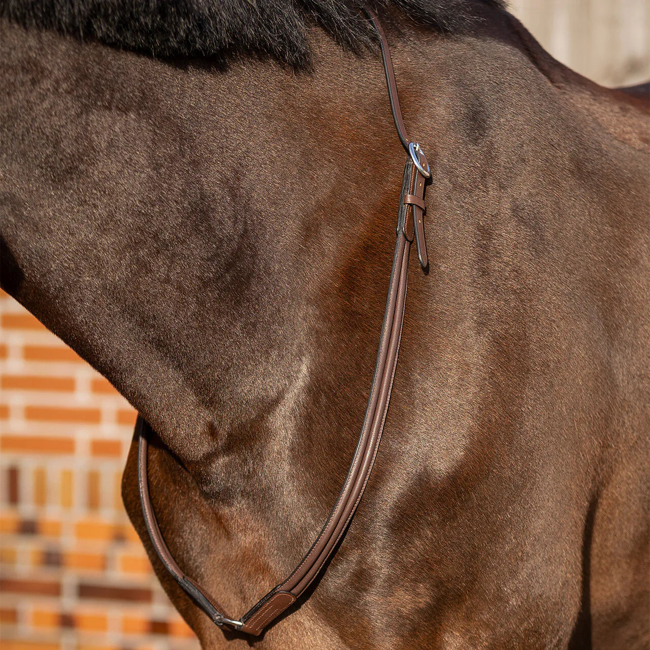 Ramales y cuerdas cordón cervical cuero Liberta QHP para equitación - vista 6