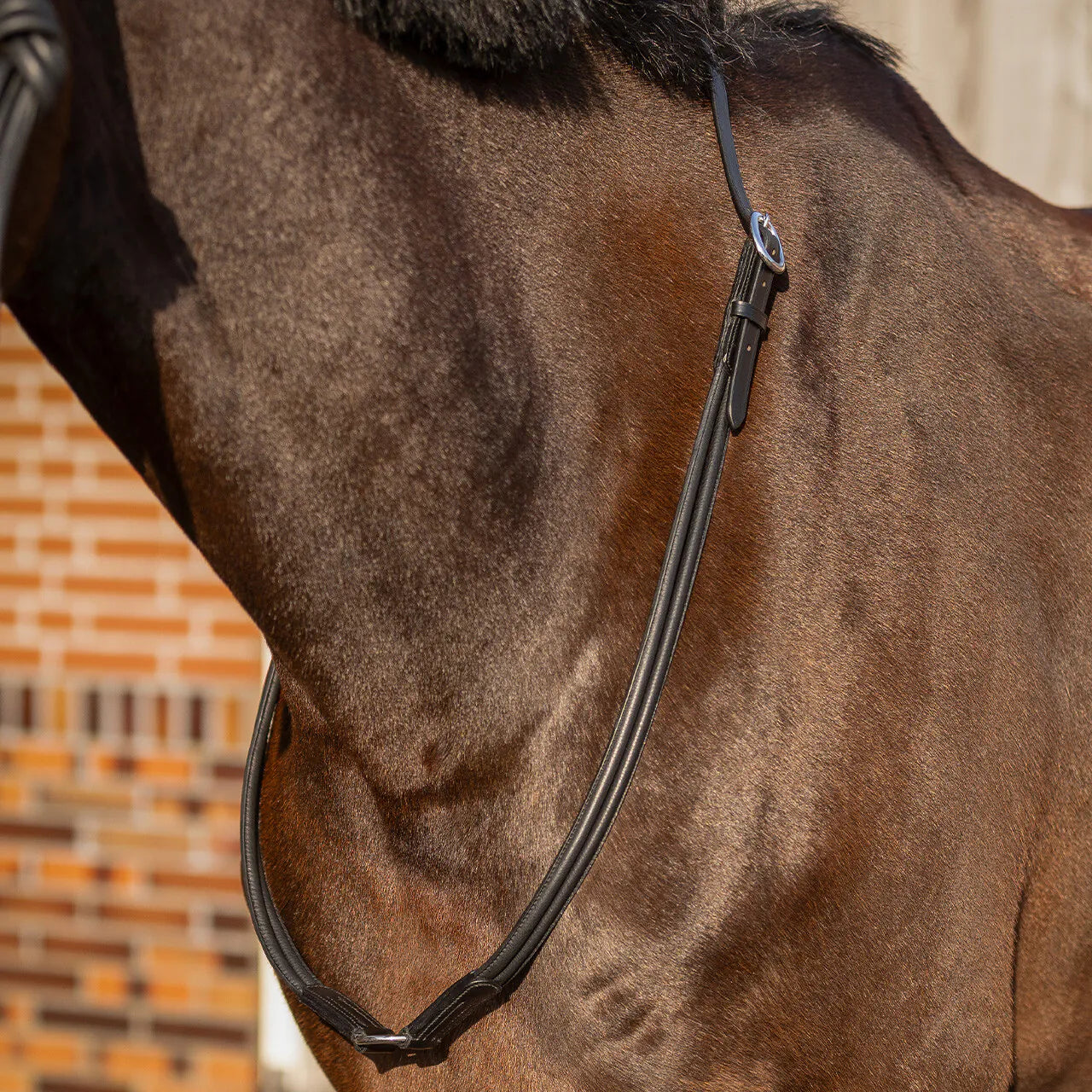 Ramales y cuerdas cordón cervical cuero Liberta QHP para equitación - vista 10