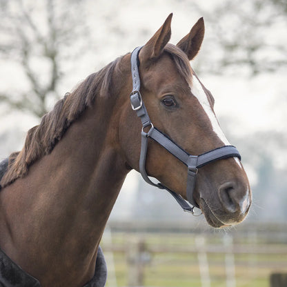 Cabezada de cuadra Head collar set Sensisoft QHP para equitación - vista 4