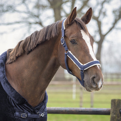Cabezada de cuadra Head collar set Sensisoft QHP para equitación - vista 11