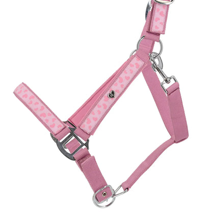 Cabezada de cuadra Head collar Lyvia QHP para equitación - vista 2