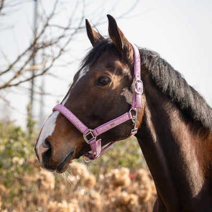 Cabezada de cuadra Head collar Lyvia QHP para equitación - vista 3