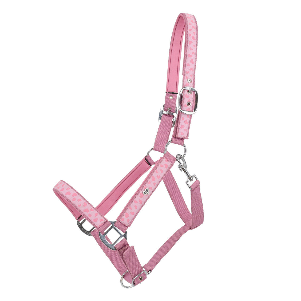 Cabezada de cuadra Head collar Lyvia QHP para equitación - vista 9