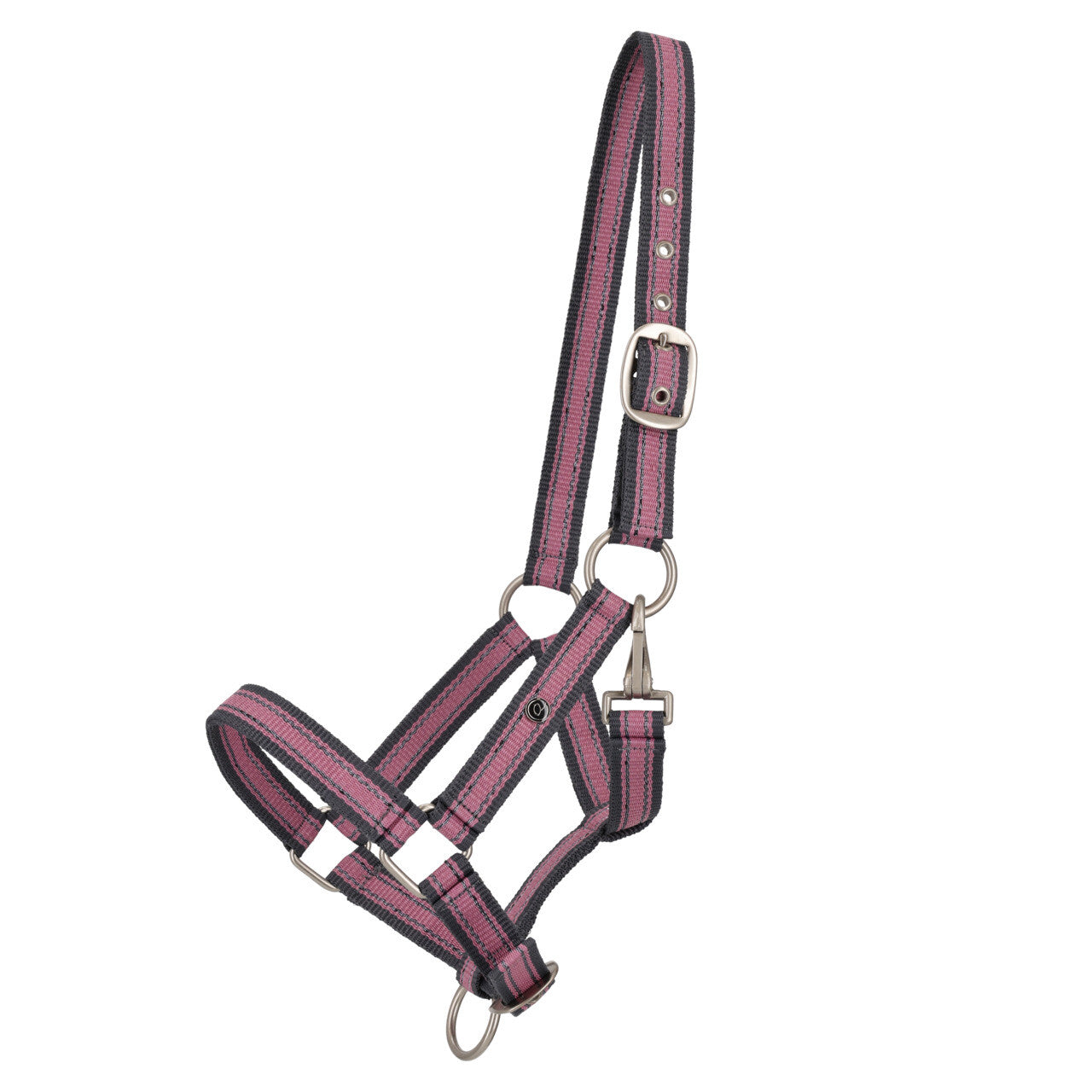 Cabezada de cuadra Head collar potro yearling colección QHP para equitación