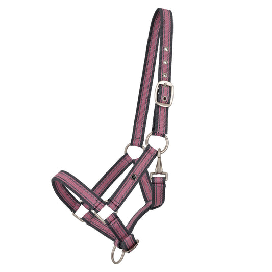 Cabezada de cuadra Head collar potro yearling colección QHP para equitación