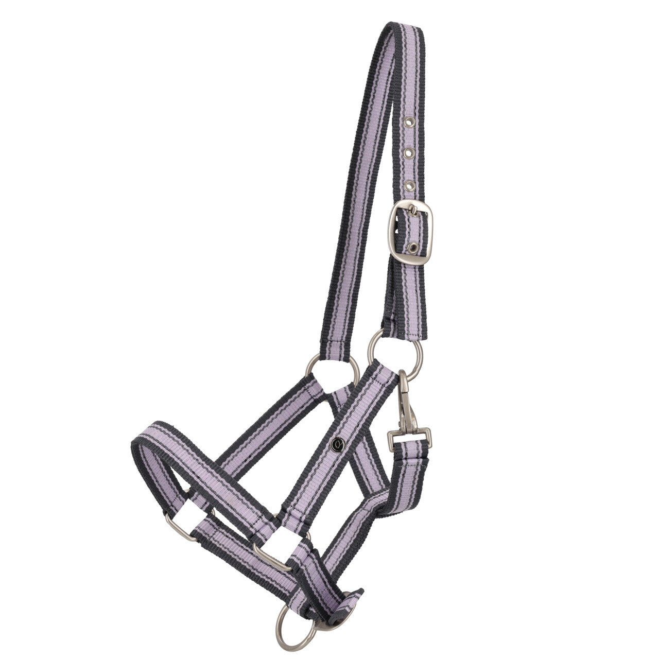 Cabezada de cuadra Head collar potro yearling colección QHP para equitación - vista 7