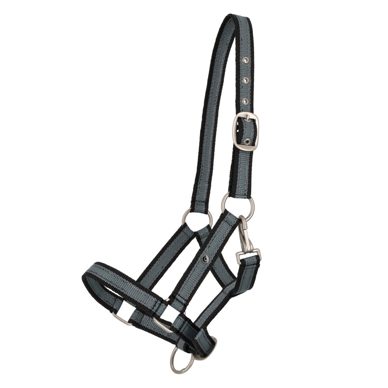 Cabezada de cuadra Head collar potro yearling colección QHP para equitación - vista 9