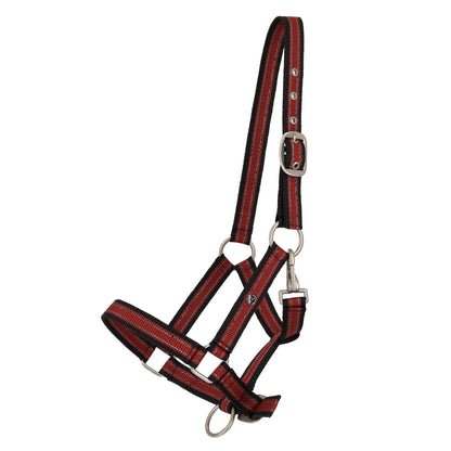 Cabezada de cuadra Head collar potro yearling colección QHP para equitación - vista 10